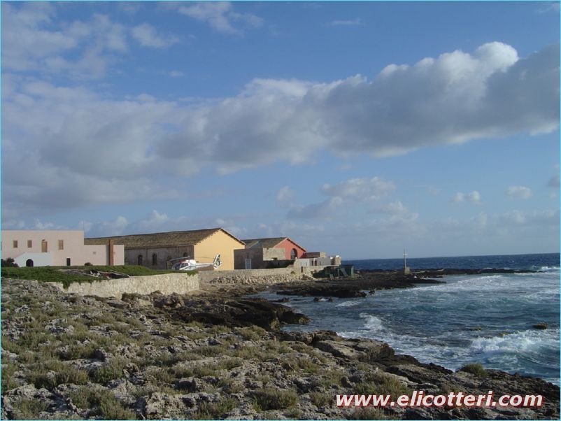 elifoto (184)